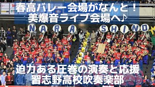 春高バレー会場を習志野高校吹奏楽部の美爆音ライブ会場に変えてしまった！迫力ある圧巻の演奏と応援（モンキーターンやレッツゴー習志野も） [upl. by Cassandry]