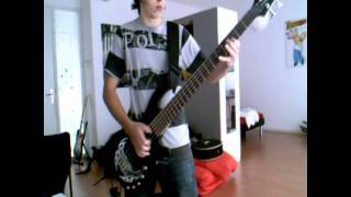 Primus  Tommy the Cat Bass Cover [upl. by Airdnaz457]