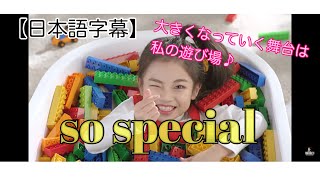 【日本語字幕】so special ハウンちゃん [upl. by Shishko981]