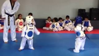 EPIC Taekwondo battle 3 year old kids SO CUTE [upl. by Eniotna]