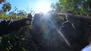 North DeLand WWII NAS Woods Dump Hunt 4 explorer history bottles volusiacounty Florida [upl. by Nodaj]