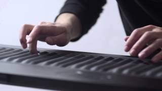 Introducing the Seaboard [upl. by Wilkens571]