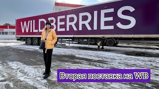 Вторая поставка товара на WB  Прокололи ухо  Покупки для дома в Леруа Мерлен  Новая сумка Вари [upl. by Wesa]