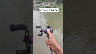 Zing Zing Bc Zorro Collorful shortvideo fishing fishinghook blue [upl. by Rogergcam]