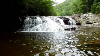 Red Creek Waterfall Dolly Sods [upl. by Koorb354]