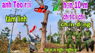 chấn động cưa cây rơi độ cao hơn 10 m anh tèo 36 tuổi ra đi mãi mãi ch ết tại chỗ ớn lạnh nổi da gà [upl. by Demmy]