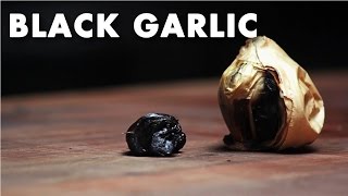 Black Garlic  Product Spotlight Video [upl. by Mariko]