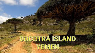 Socotra Island Yemen [upl. by Ennahtur]