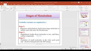 Carbohydrate Metabolism part 1 [upl. by Hazaki]