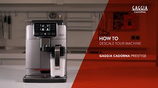 HOW TO DESCALE YOUR GAGGIA CADORNA PRESTIGE [upl. by Atilal825]