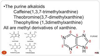 PHARMACOGNOSY  PURINE ALKALOIDS WITH TRICK [upl. by Pellikka]