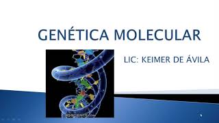 GENÉTICA MOLECULAR biología 11º [upl. by Yadnil]