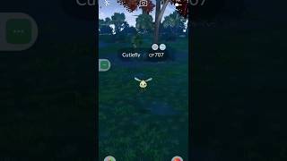 See how I Catch a Cutiefly in Pokemon go pokemongo pokemon [upl. by Fessuoy]