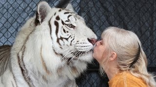 Florida Woman Keeps Bengal Tigers In Her Garden [upl. by Mcclain]