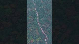 Zhangjiajie Grand Canyon Glass Bridge Bungee Jumping First Person View 29 [upl. by Ridglea]