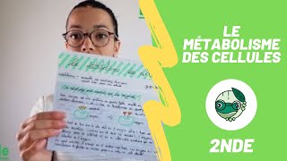 Le métabolisme des cellules  SVT seconde [upl. by Ihcelek414]