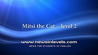 Mitsi the Cat – level 2 [upl. by Odilo511]