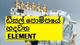 ඩීසල් පොම්පයේ හදවත් ELIMANT  diesel injection pump element [upl. by Nileuqcaj865]