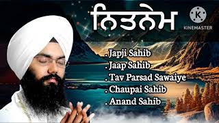 Nitnem Sahib full path  Bhai Manpreet Singh Kanpuri kirtan singh gurbanikirtan gurbani music [upl. by Pete]