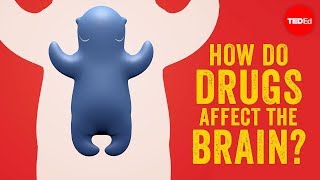 How do drugs affect the brain  Sara Garofalo [upl. by Adelaide800]