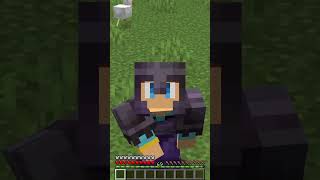 Minecraft Just BROKE Tools shorts minecraft [upl. by Einaled]