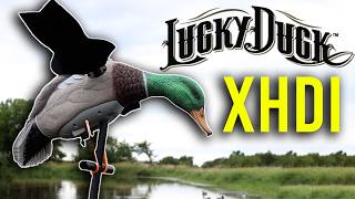 Lucky Duck XHDI Spinning Wing Decoy [upl. by Petuu92]