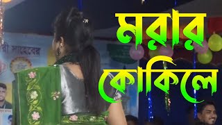 Amar Ghum Vangaiyaআমার ঘুম ভাঙাইয়া গেলো গোTop Viral Song2024 [upl. by Tore]