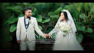 Ravindu amp Dilini Wedding Highlights [upl. by Devonne]