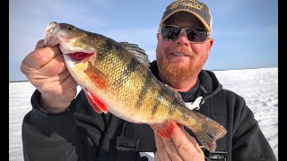 Ice Fishing Perch – EVERYTHING You Need To Know [upl. by Moor]