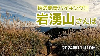 【週末さんぽ】山頂まで1時間🎶秋の絶景岩湧山で花すすき2024年11月10日大阪府河内長野市 [upl. by Notslah]