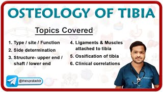 Osteology of TIBIA Bone  Osteology MBBS 1st year 🦴🦴🦴 [upl. by Aidahs]