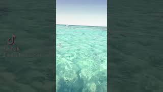 Bayada Jeddah Saudi Arabia marine jeddah fishing vairal youtubeshorts music [upl. by Eniruam]