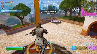 Fortnite Stupid Win [upl. by Ahtanamas]