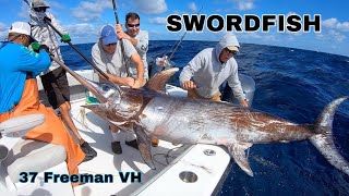 37 Freeman Boat vs BIG SWORDFISH in the Gulf Stream [upl. by Anhavas]