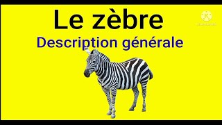 le zèbre  Description générale [upl. by Jarl191]