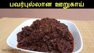 பிரண்டை ஊறுகாய்  Pirandai Urugai  Pickle Recipes in Tamil  Veld Grape Pickle [upl. by Imac]