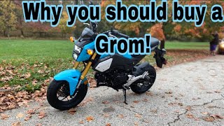 6 Reasons Why you should buy a Honda Grom [upl. by Lillywhite]