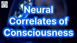 Understanding Organoid Consciousness Breakthroughs in Neuroscience and Ethics [upl. by Savina]