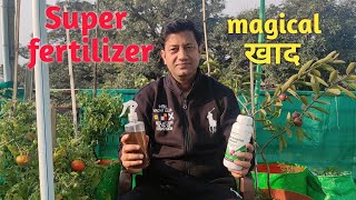 benefits of seaweed fertilizer। कमाल की खाद है seaweed [upl. by Dimitry]