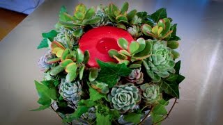 How to Make a Succulent Wreath Floristry Tutorial [upl. by Vil]