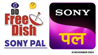 SONY PAL ON DD FREE DISH  SONY PAL  DD FREE DISH  DD Free Dish New Update 21 November 2024 [upl. by Grefer]