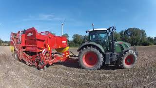 Arrachage de pomme de terre 2017 l FENDT 714 S4  GRIMME SE 15060 [upl. by Ahseetal160]