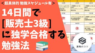 【超具体的！】14日間で「販売士3級」に独学で合格する勉強法 勉強スケジュール有りで学生・社会人の初心者にもオススメ！ [upl. by Quar]