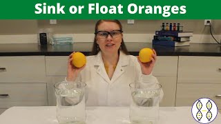 Buoyancy Sink or Float Orange Science Experiment for Kids [upl. by Tatiania]