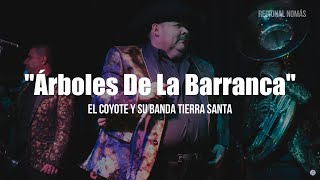 El Coyote Y Su Banda Tierra Santa  Arboles De La Barranca LETRA [upl. by Wilde126]