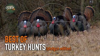 30 Gobbler Hunts in 5 Minutes ULTIMATE Turkey Hunting Compilation  BEST OF [upl. by Odnanref]