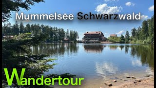 Erlebniswelt und Publikumsmagnet Mummelsee im Schwarzwald Rundwanderung über die Hornisgrinde [upl. by Yvor]