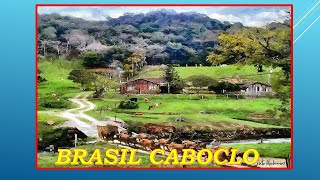 BRASIL CABOCLOTONICO E TINOCOCompTonico e Valter Amaral [upl. by Arick]