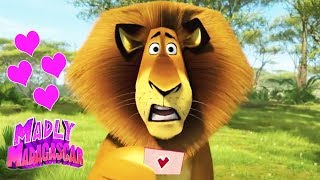 Madly Madagascar ❤️Valentines Day Special ❤️Madly Madagascar Trailer ❤️Madagascar DVD ❤️Kids Movies [upl. by Ardnaiek994]