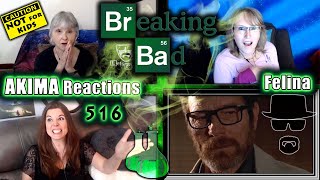 Breaking Bad 5x16  Felina  AKIMA Reactions [upl. by Timi266]